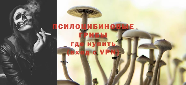 МДПВ Армянск