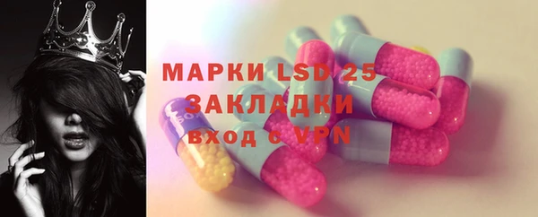 стафф Аркадак